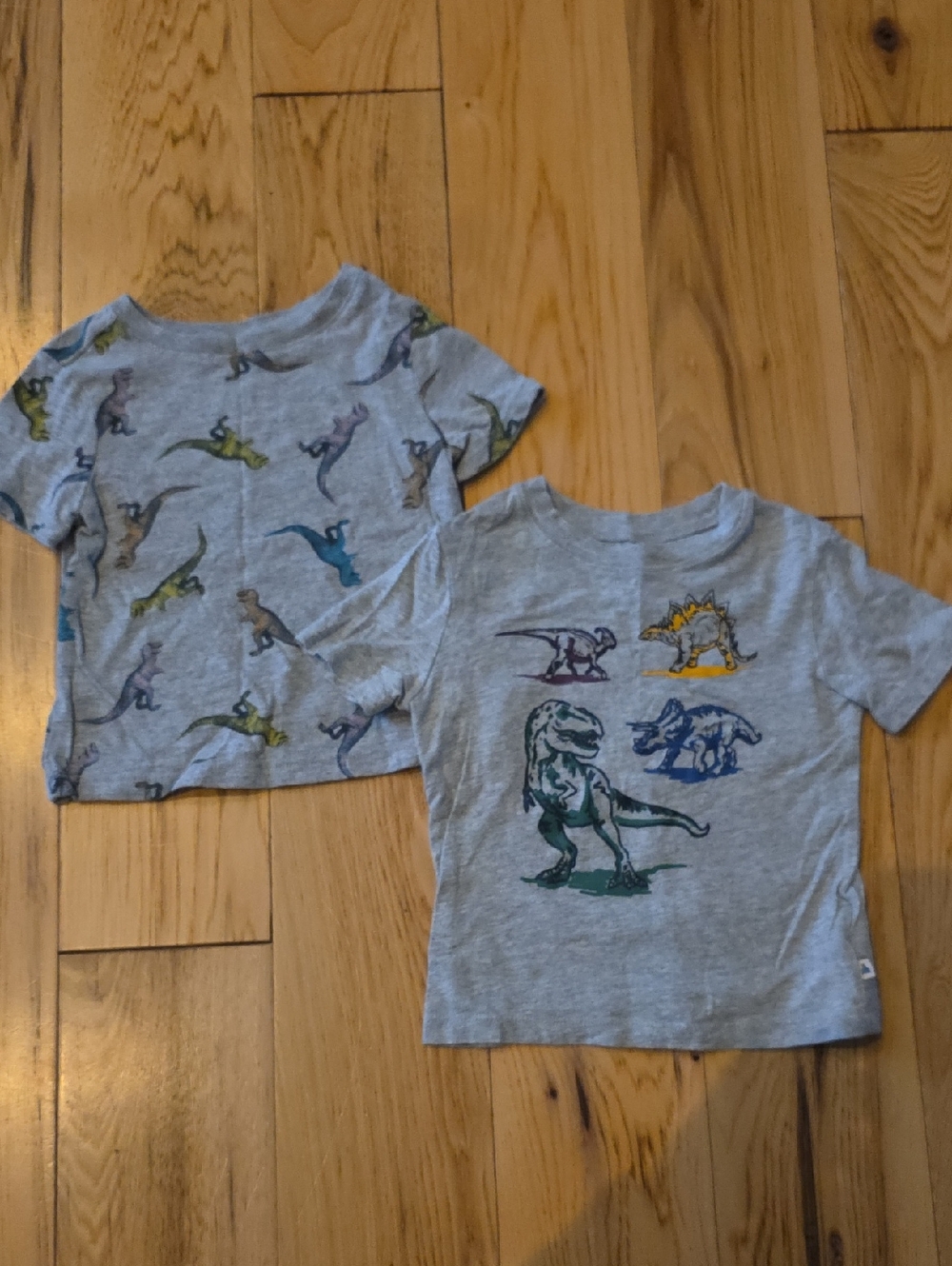 Short Sleeve Dinosaur Graphic Tees - Multicolor Prints
